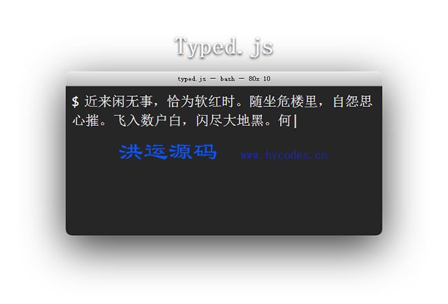 Typed.js程序员编程打字效果