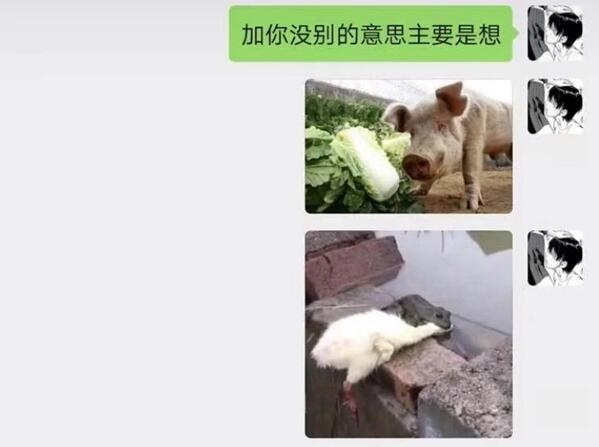 抖音癞蛤蟆想吃天鹅肉表情包